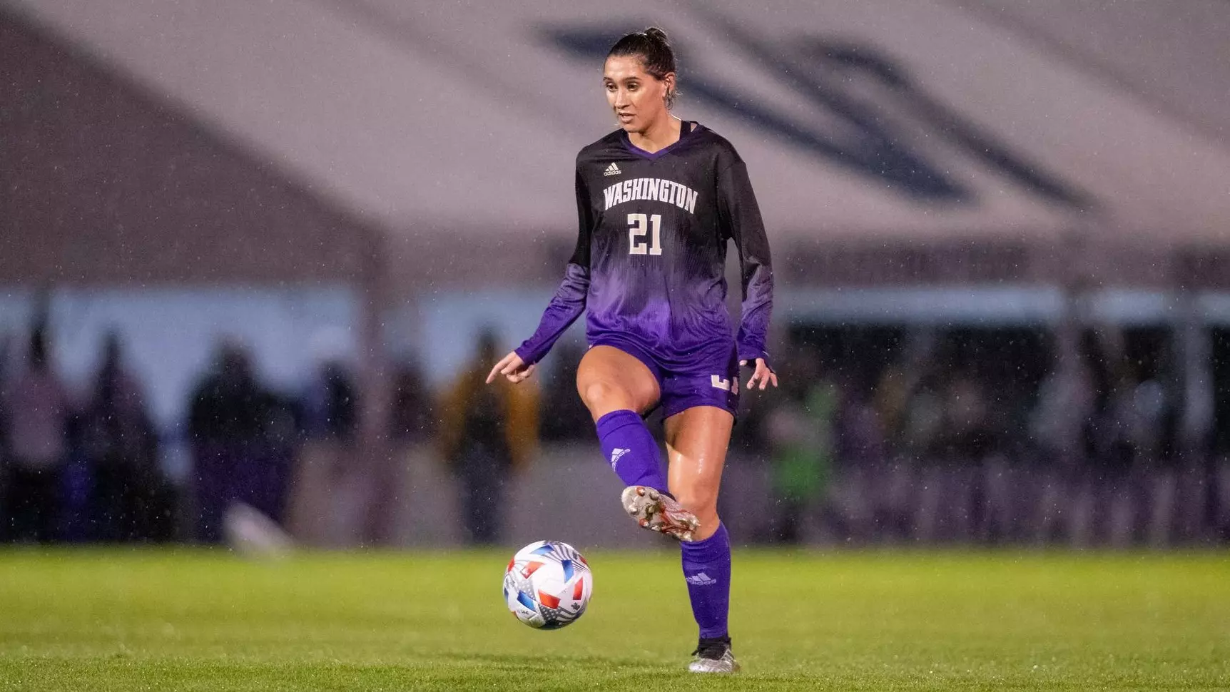 他的影响力 他的影响力