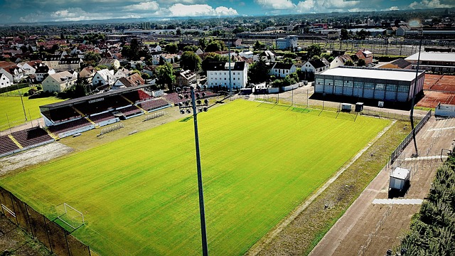 彻底稳固了 彻底稳固了