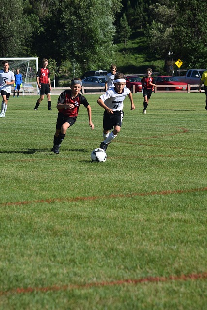 烈的竞争环 烈的竞争环