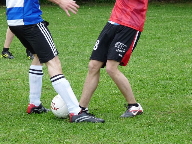 教练或管理 教练或管理