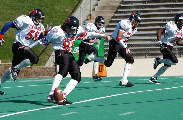 起到了关键 起到了关键