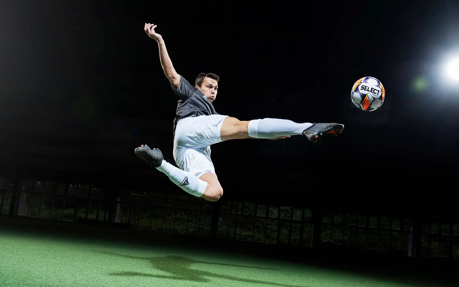 了该地区的 了该地区的