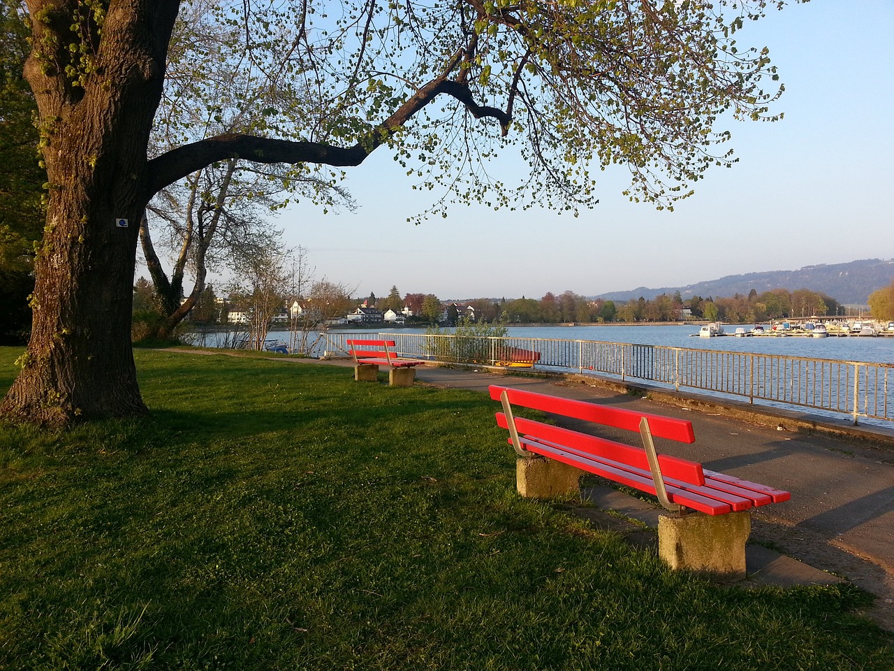 轻球员多了 轻球员多了